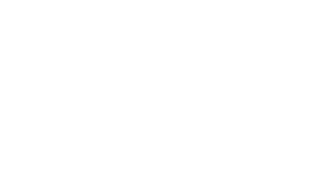 IGOR IVANOVIC 2I