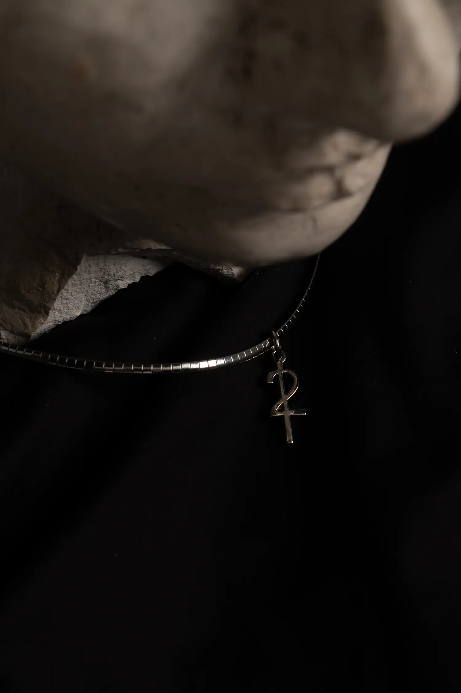 Fotografija 2 od 2 — Logo Necklace